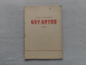 病原学.病理学图谱（初稿）江西省卫生学校试用教材