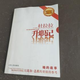 杜拉拉升职记