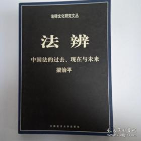 法辨：中国法的过去、现在与未来