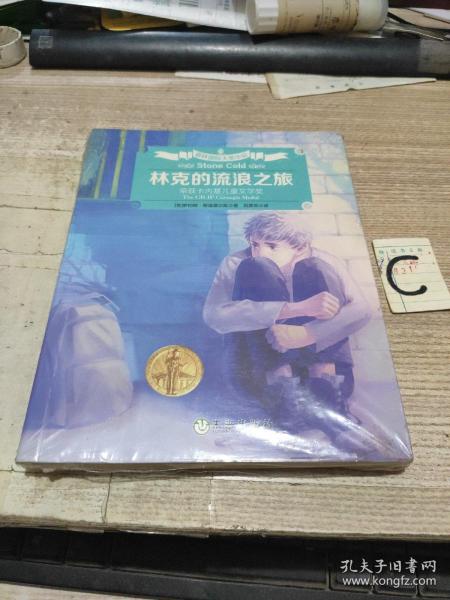 林克的流浪之旅【全新塑封有赠品】