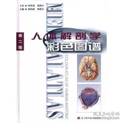 人体解剖学彩色图谱 第2版徐国成 辽宁科学9787538166538