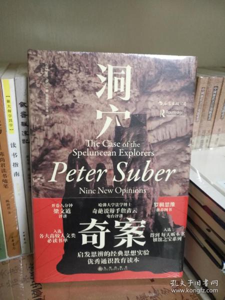 洞穴奇案 法哲学专业领域寓言式的经典文献，优秀跨学科通识教育的理想读本