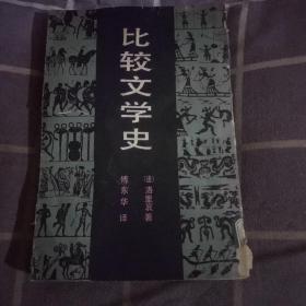 比较文学史(馆藏本，1930年原版影印)