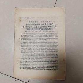 我们心中最红最红的红太阳我们伟大的统帅毛主席接见江西省革命委员会筹备小组成员时的最新最高指示