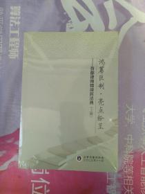 鸿篇巨制 亮点纷呈——首都律师精读民法典（上下2册全）