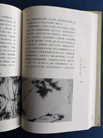 中国书画名家画语图解：郑板桥