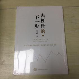 去杠杆的下一步