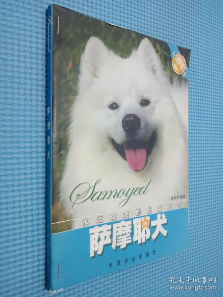 萨摩耶犬