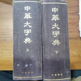 中华大字典（上下册）