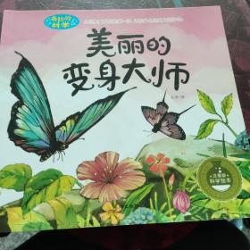 美丽的变身大师