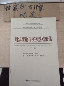 中国刑法学年会文集（2010年度）：刑法理论与实务热点聚焦
