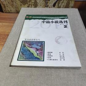 中篇小说选刊2