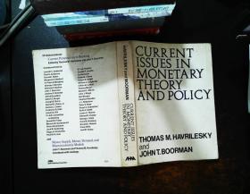 current issues in monetary theory and policy【书侧泛黄黄斑 书脊磨损污渍】