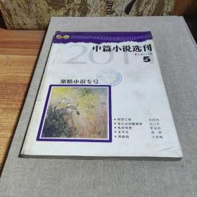 中篇小说选刊5