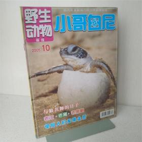 小哥白尼野生动物画报2005年第10期