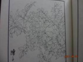 陈子奋白描花卉册