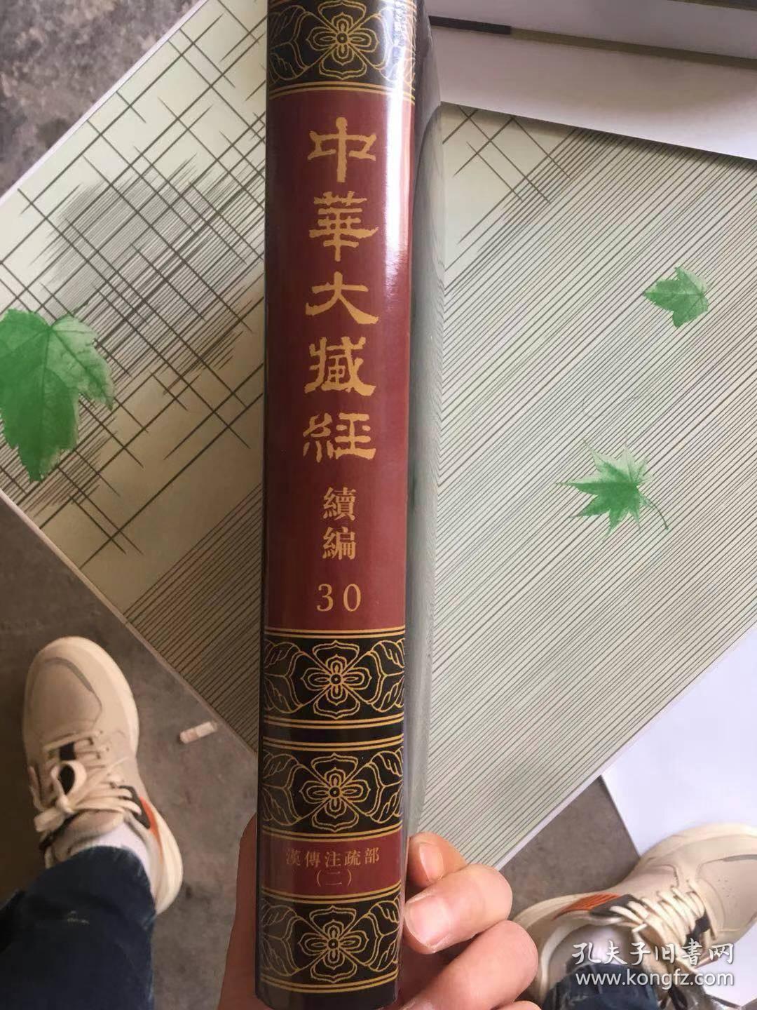 中华大藏经：汉文部分:续编30汉传注疏部（二）单本的