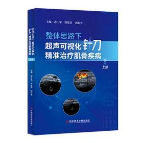 正版 整体思路下超声可视化针刀精准治疗肌骨疾病.上册 宓士军 郭瑞君 郭长青 肌肉骨骼系统针刀疗法医学书籍