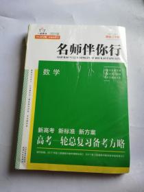 名师伴你行：高考总复习（历史）