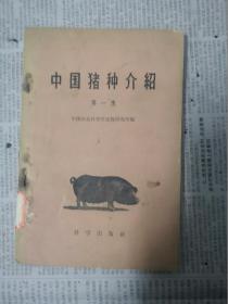 中国猪种介绍（第一集）