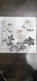 余涛花鸟画（四尺斗方）