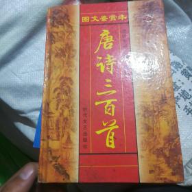 唐诗、宋词、元曲三百首：发条鸟年代记 第三部