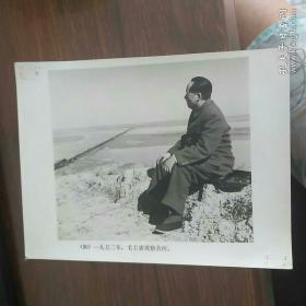 《老照片》1952年毛主席视察黄河