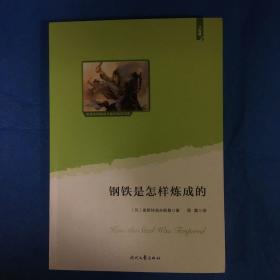 钢铁是怎样炼成的(教育部统编语文教材八年级下指定阅读；大语文理念打造：思维导图+详细注释+知识拓展+彩色插图)