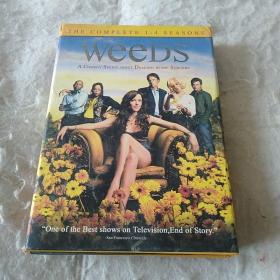单身毒妈DVD。1~4季。十三碟装