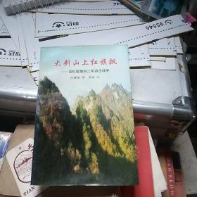 大别山上红旗飘:回忆鄂豫皖三年游击战争