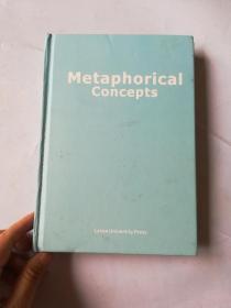 Metaphorical concepts