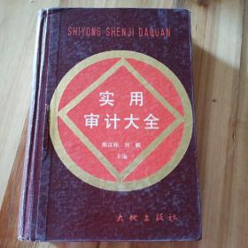 實(shí)用審計(jì)大全