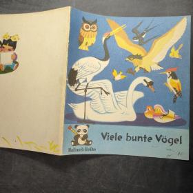 Viele bunte Vogel