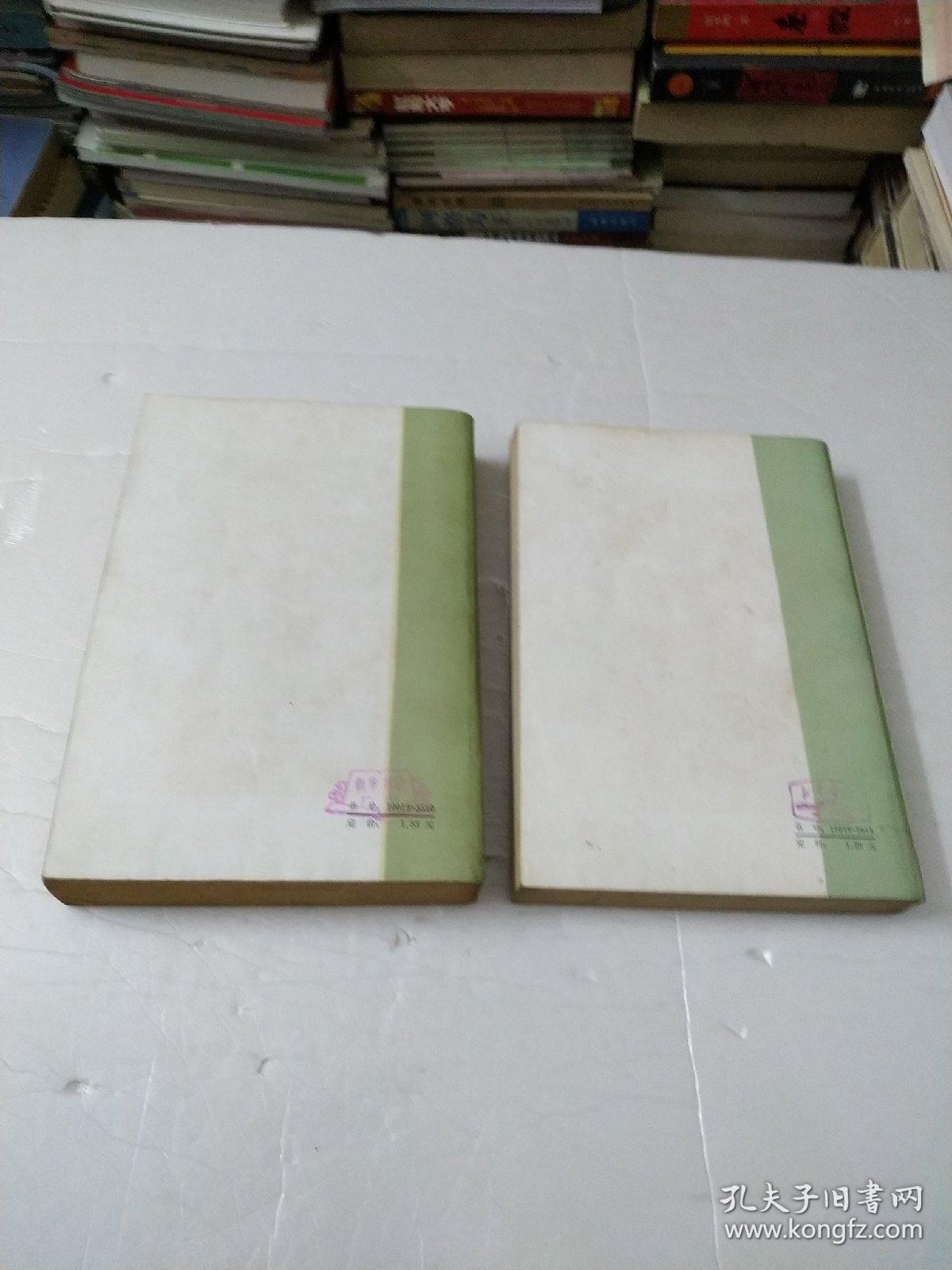 绿衣享利上下册(网格本)