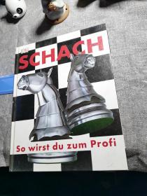 DK SCHACH So wirst du zum Profi