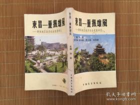 东昌——重振雄风 （聊城地区经济社会发展研究）