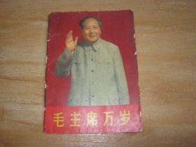 毛主席万岁 1967年人美初版毛林像全 少见64开画册