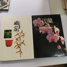 新养兰学：洋兰、国兰（2册合售）【铜版彩印】