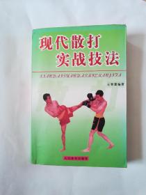 现代散打实战技法