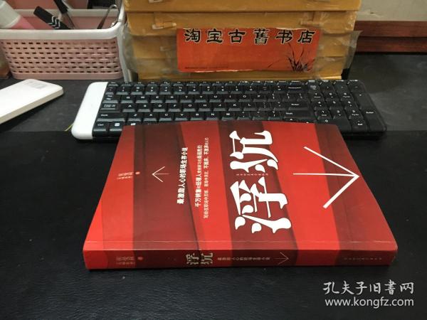 浮沉：最激励人心的职场生存小说