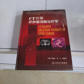 CT引导肝肿瘤消融治疗学（精）