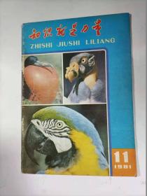 知识就是力量    1981年11