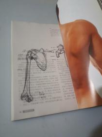 艺用人体解剖