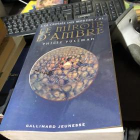 Le Miroir D'Ambre (French Edition)