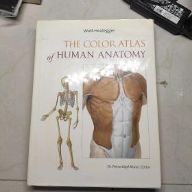 THE  COLOR  ATLSS  OF  HUMAN  ANATOMY