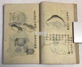 《胎产新书》，存1册，卷九及卷十，日本老旧写抄写绘本，汉文，中医汉医妇科产科儿科典籍，前半册为卷九图式门，全为手绘精致插图，如有单胞胎，双胞胎胎位图，出产图等，并有畸形儿图，连体婴儿图，畸形产物图等，并含野鸡卵图等，后半册为胎前，产后，血证，婴儿等各阶段大量汉药方，记其药方名，所治，配伍，制法，服用法等，十分罕见。