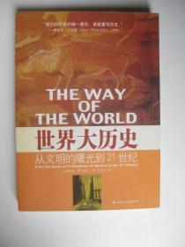 世界大历史：从文明到曙光到21世纪