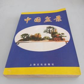 新编中国哲学史    封面及侧页有大头笔图画情况