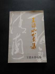 王德水书画集