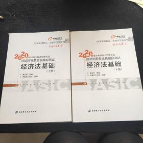 东奥初级会计2020 轻松过关1 2020年应试指导及全真模拟测试经济法基础 (上下册)轻一